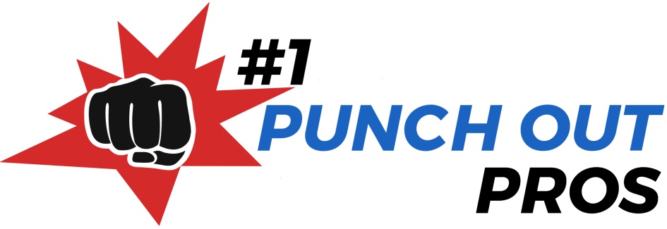 One Punch-out Pros